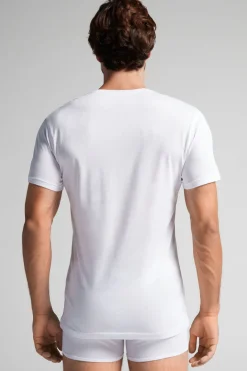 T-shirt z Dekoltem w Kształcie Litery V z Bawełny Superior Extrafine